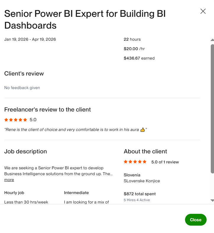Senior Power BI Expert for BuiIding BI
