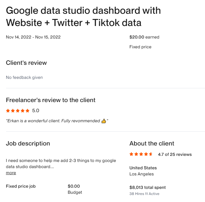 GoogIe data studio dashboard with Website + Twitter + Tiktok data