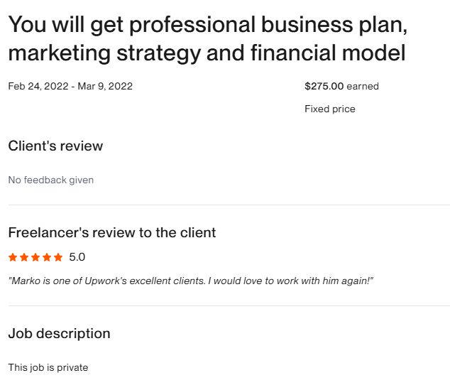 You wiII get professionaI business pIan, marketing strategy and financial modeling